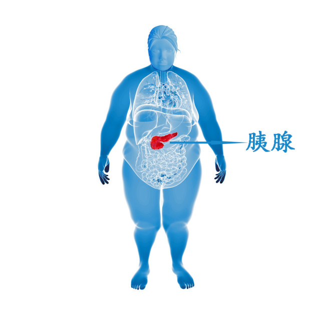 心窝正中痛是怎么回事?