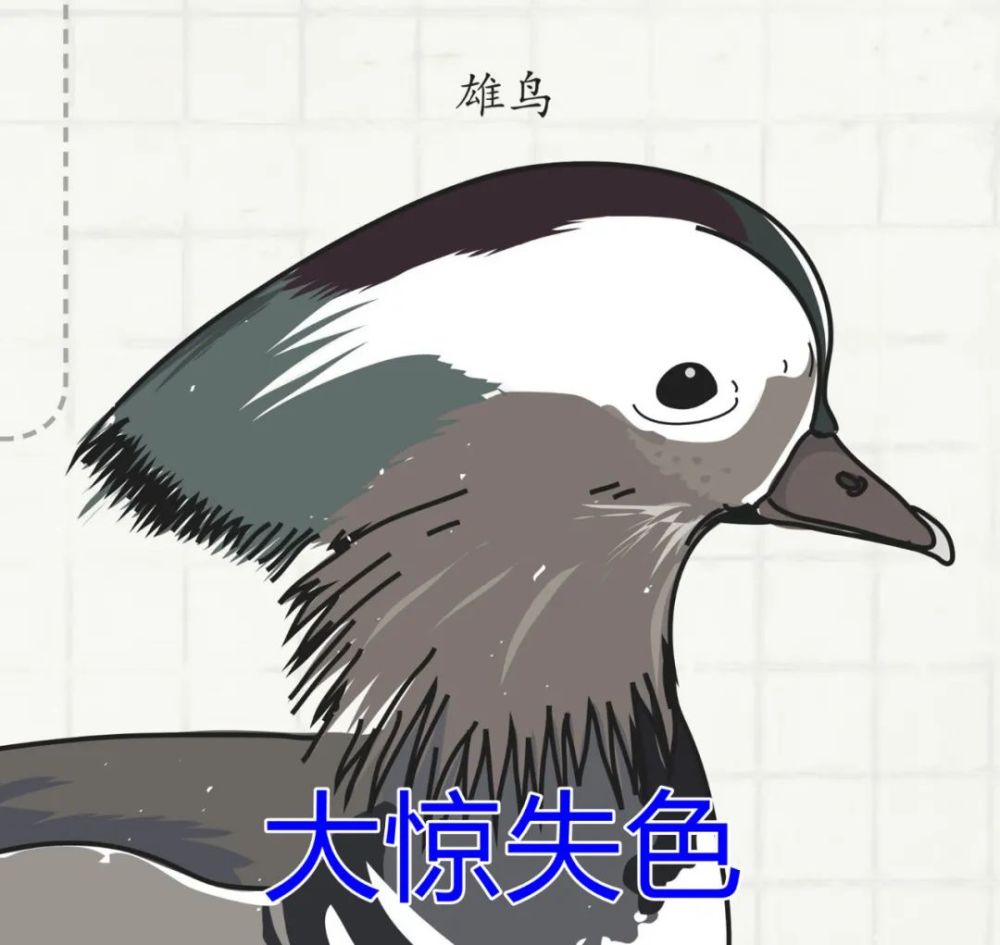 这本
