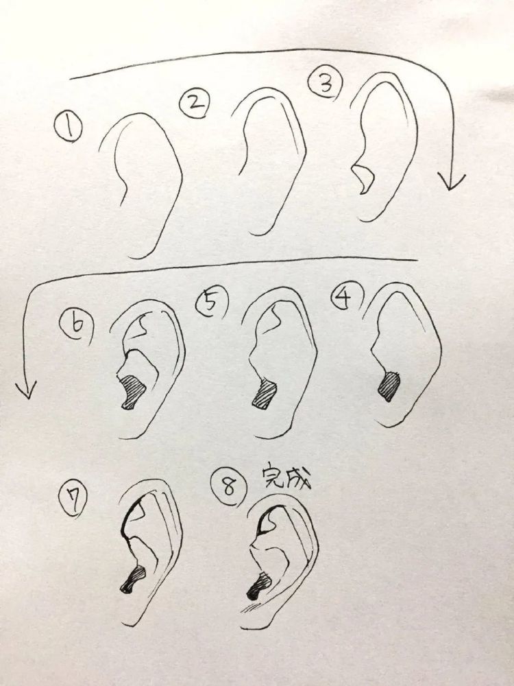 插画教程|画师 吉村拓也 的耳朵的画法