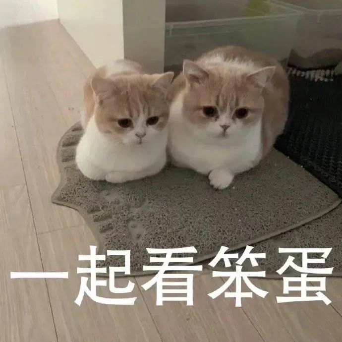 微信沙雕表情包:刚才在玩手机,忘记回你了,不好意思
