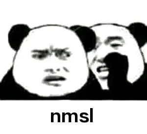 "nmsl"=never mind the scandal and liber的首字母缩写,意为永远不要