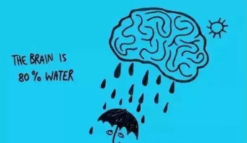 大脑80%都是水. (所以脑袋进水不是损人的话?……)