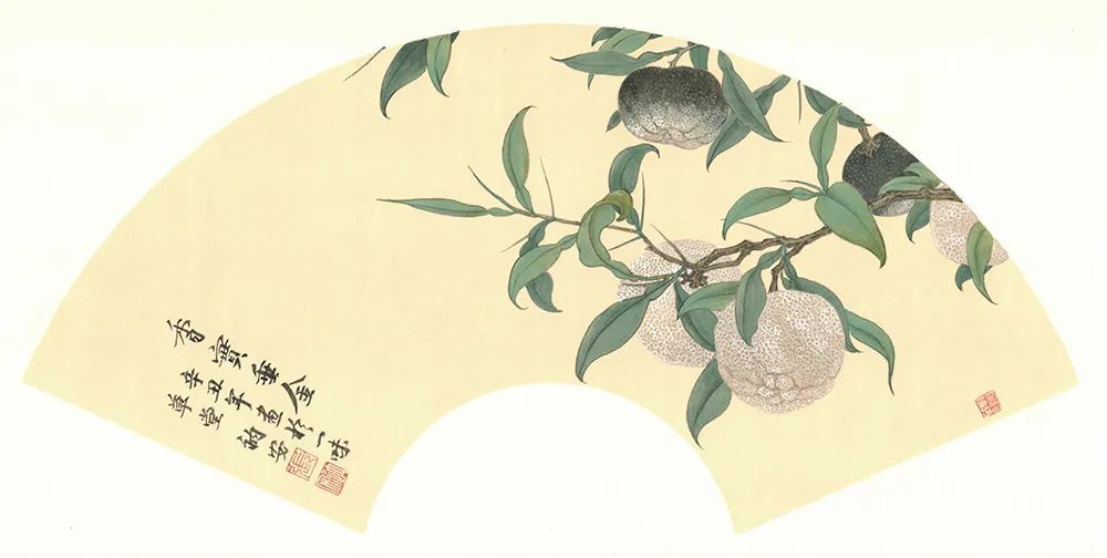 《香实垂金》33cm x 65cm 纸本设色