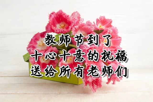 教师节:最美的祝福送给无私奉献的老师们