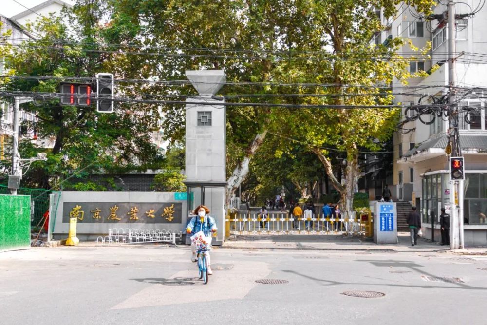 南京农业大学
