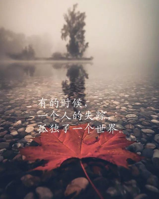 写到心窝里的经典情感语录,字字透彻,句句触动心灵!