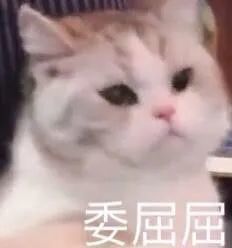 沙雕表情包啊啊啊你还要不要哄我的辣