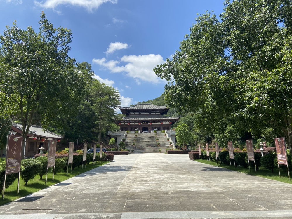 【惠州文脉·风物】西湖丰山百年菩提仍葱茏 曾为千年古寺永福寺遗址