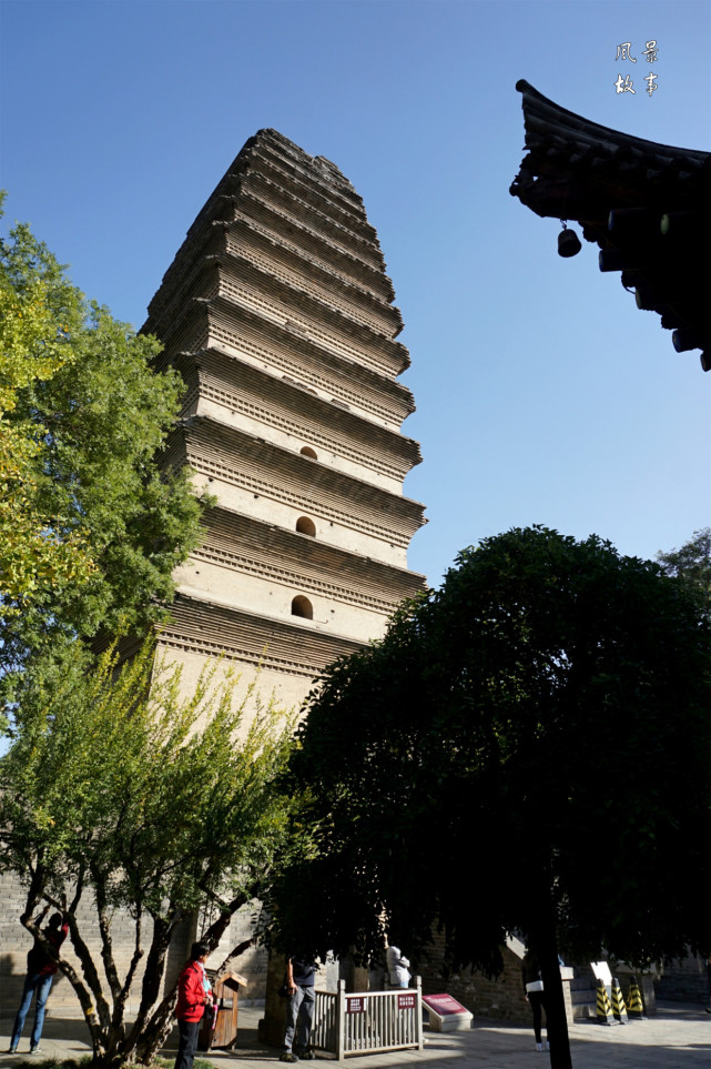 小雁塔:我不服