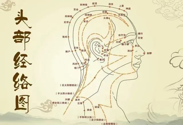 赶走头痛头晕,脱发白发,失眠多梦