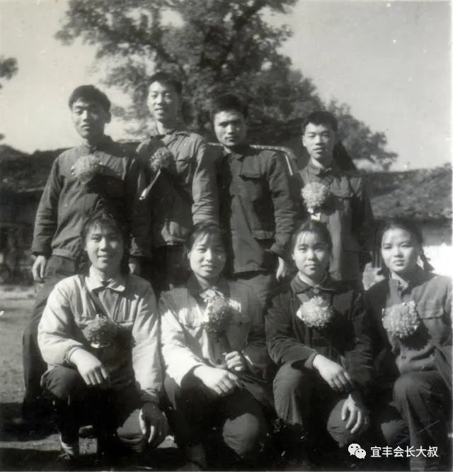 如下 前排左起:欧阳五香,李芳,李蓉,胡美兰 后排左起 郑义辉,钟田力