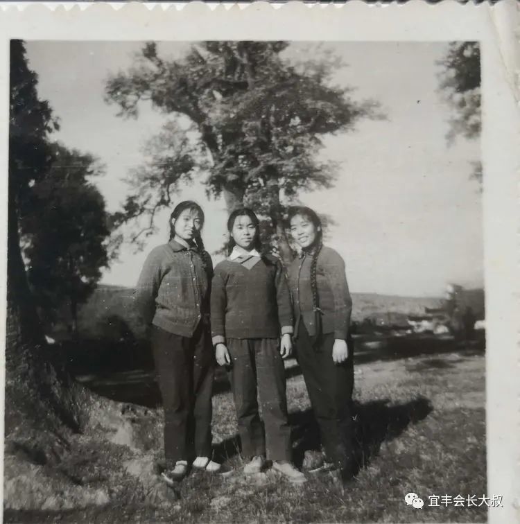 如下 前排左起:欧阳五香,李芳,李蓉,胡美兰 后排左起 郑义辉,钟田力