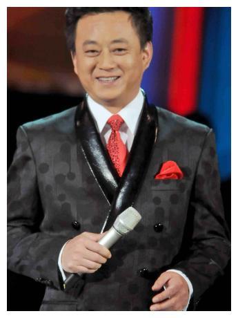 1993年朱军来到了中央电视台,正式成为了一名中央电视台的主持人