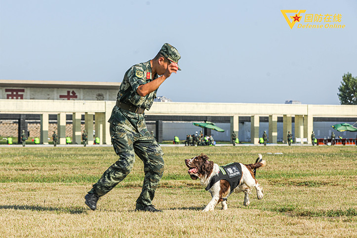 咬,跃火圈,警犬与训导员的训练画面和温馨瞬间