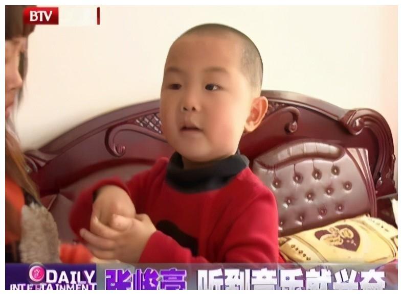 张峻豪:3岁上央视5岁上春晚,年入百万,他现在怎么样了