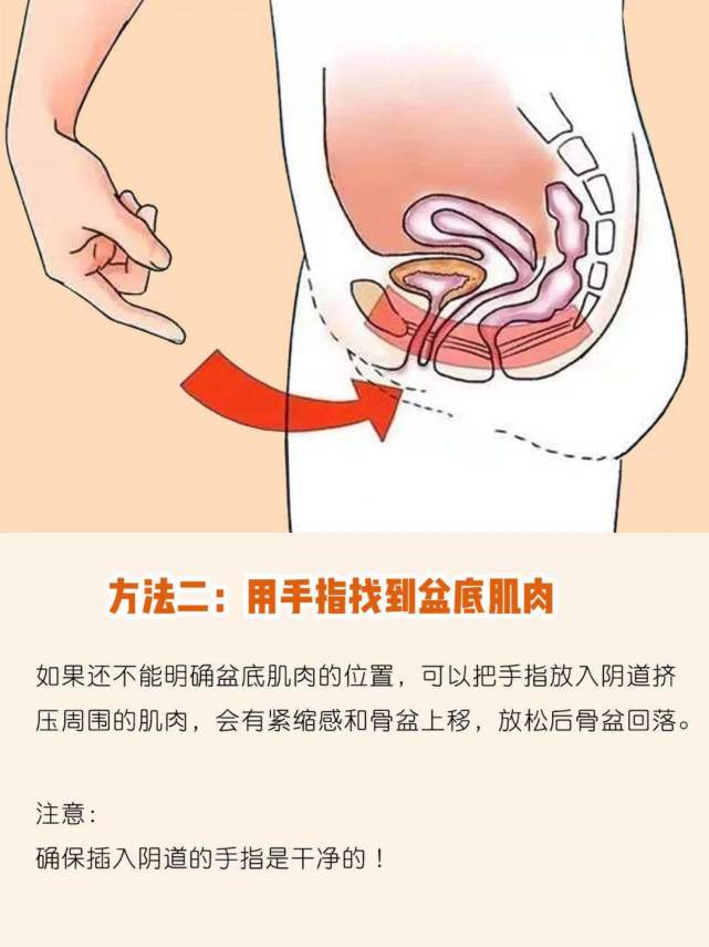 建议每次10-15分钟,每天2-3次,每周3-5天用力快速缩紧肛门,保持3-5秒