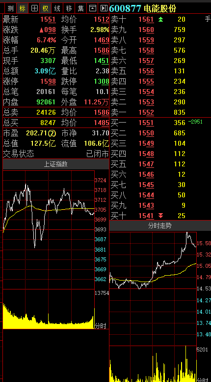 电能股份(600877)