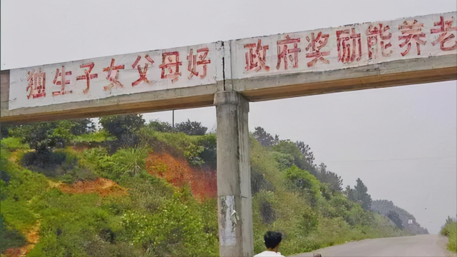 北大教授梁建章:"如不多生孩子,中国的崛起就只能维持