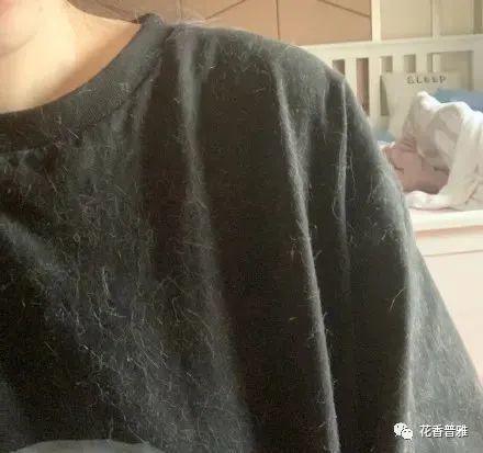 最后,真要问铲屎官怎么去除衣服上的猫毛?