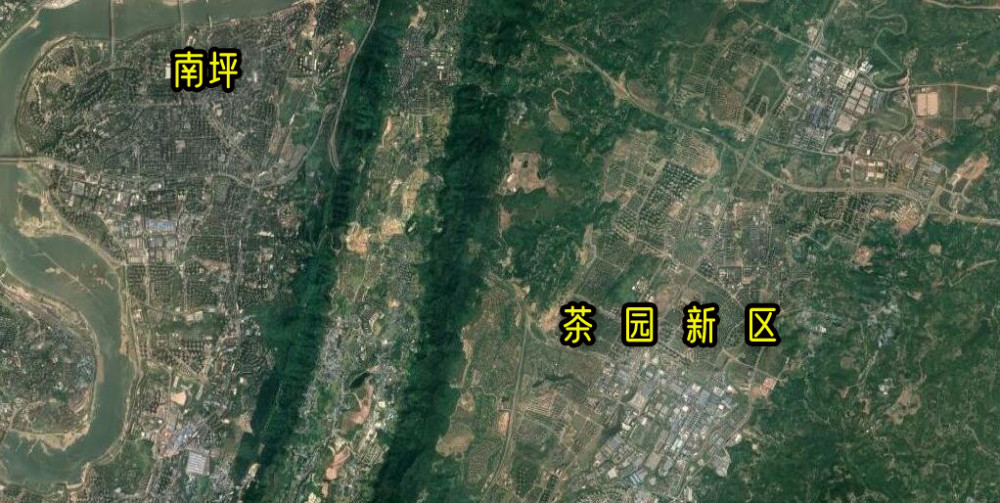 重庆南岸茶园这里真的有茶叶园吗