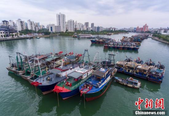 9月10日,航拍海口新港码头停靠着众多回港避风的船只.