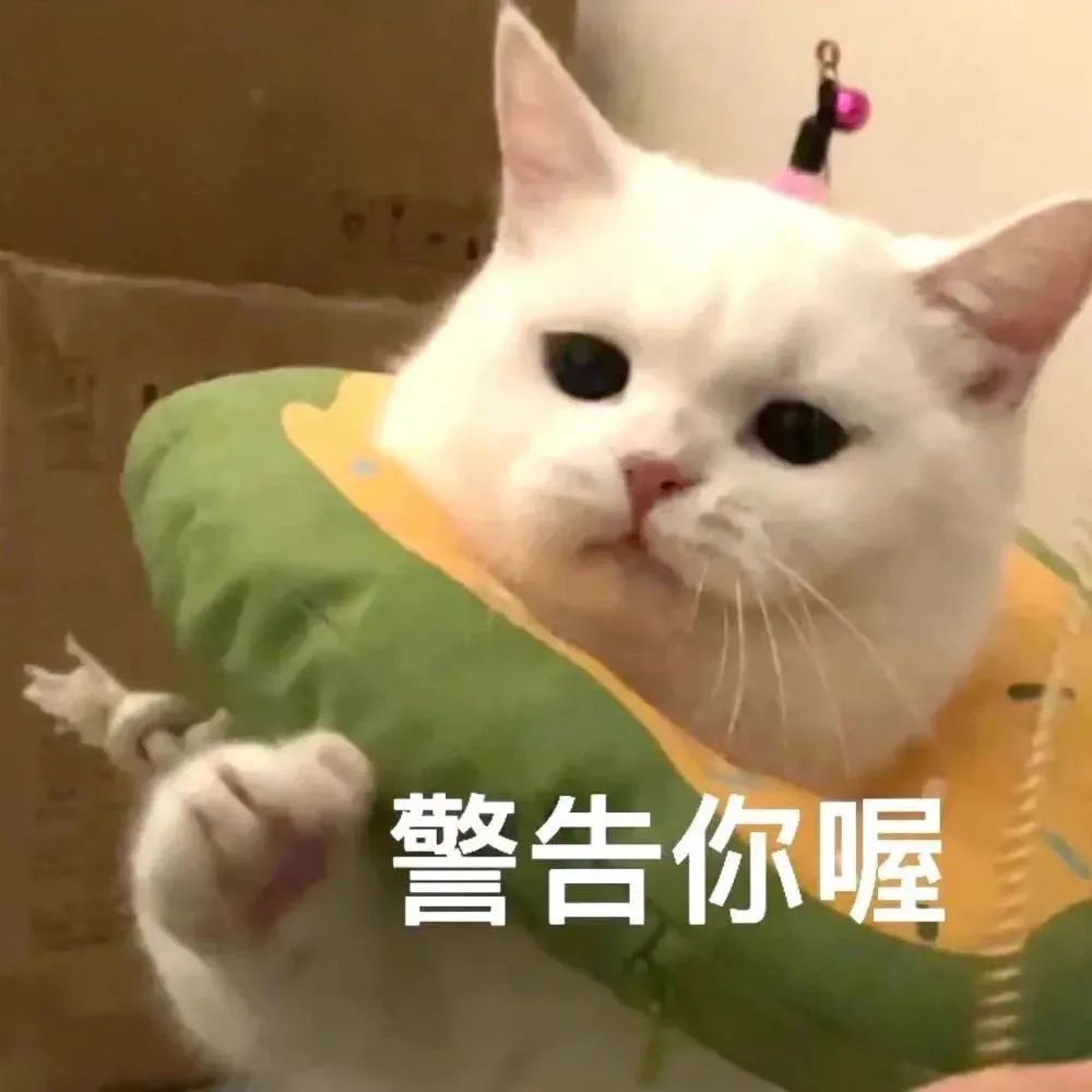 表情包动图抖音最火表情包可爱动漫0921期