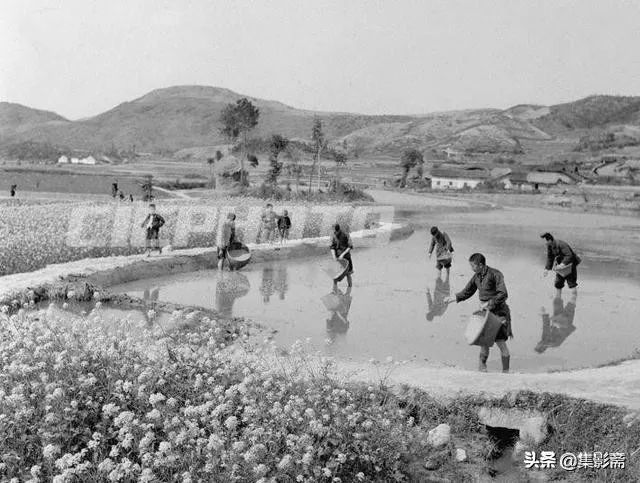 60年前通城老照片,每一张都是历史的见证者