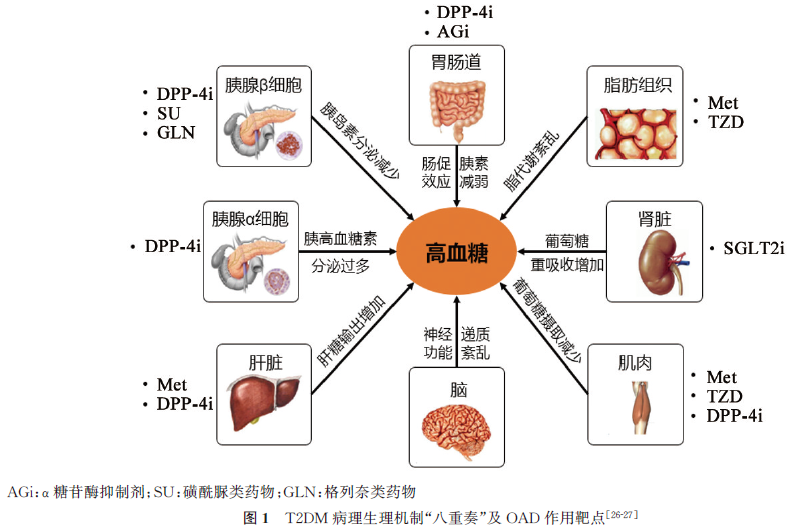 成人2型糖尿病患者口服降糖药物三联优化方案,中国专家共识发布!
