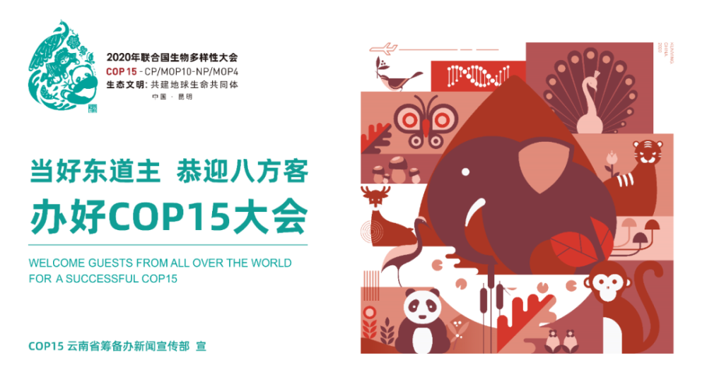 【迎接cop15】cop15公益宣传海报来了!赶快来看!