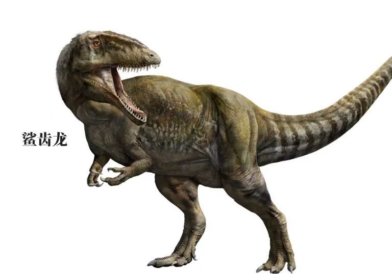 中生代鲨齿龙恐龙锯齿状牙齿长达8米曾与霸王龙分庭抗礼