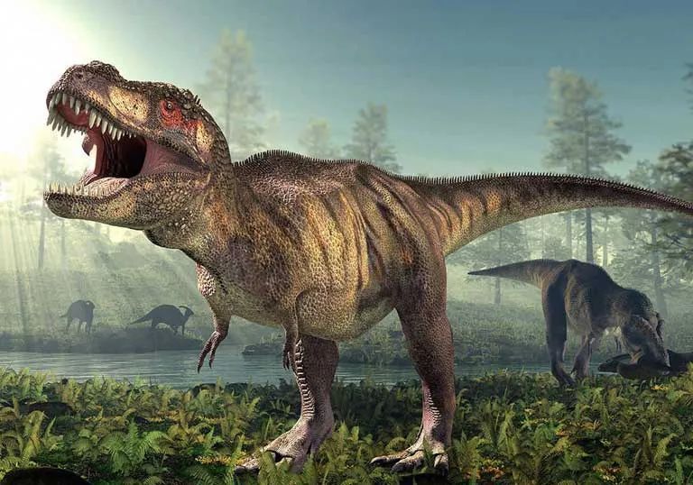 中生代鲨齿龙恐龙,锯齿状牙齿,长达8米,曾与霸王龙分庭抗礼!