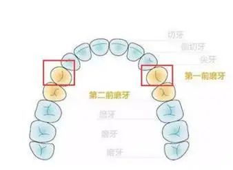 矫正牙齿到底要不要拔牙?