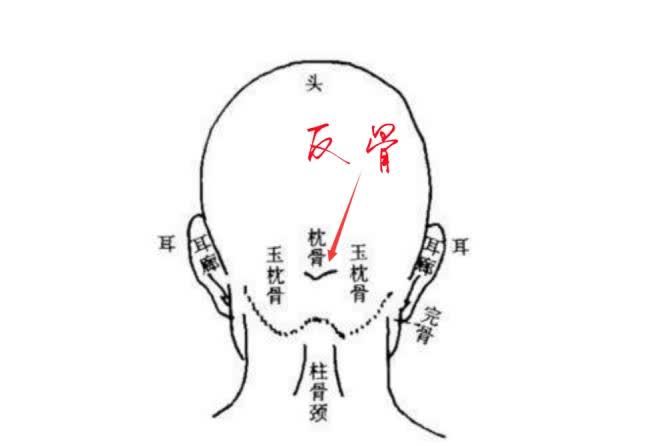 天生反骨为古之大忌反骨什么样这种人又有什么性格特征