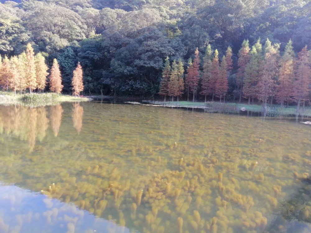 广州从化石门山森林公园天池湖面
