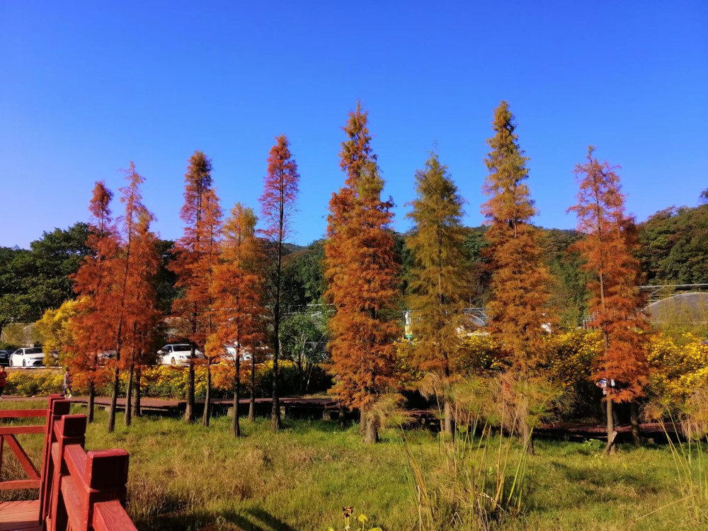 广州从化石门山森林公园天池湖面.