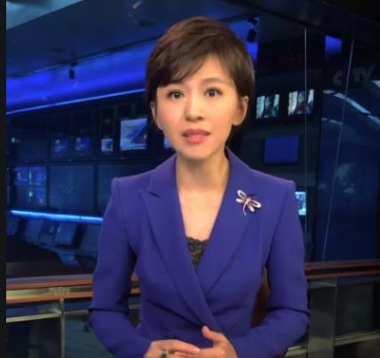 从"央视名嘴"到退出央视,失去父亲的欧阳夏丹,后来怎么样了?
