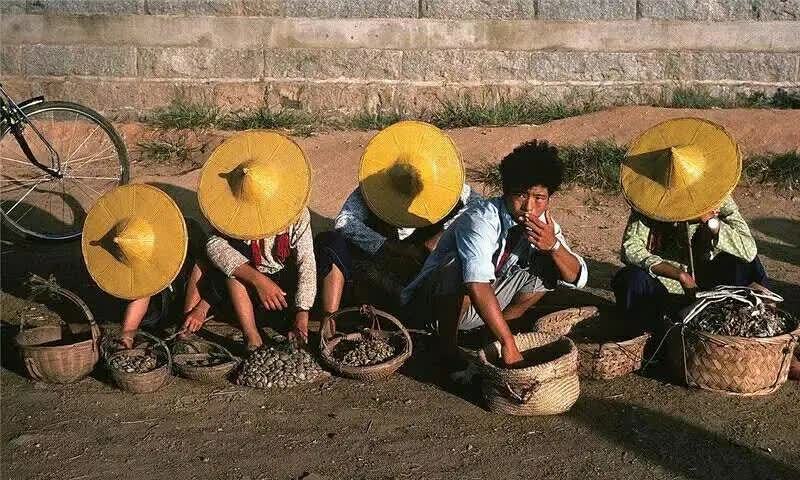 一位农民正在邻近鄱阳湖的地方放鸭子——这个画面太有感觉了.