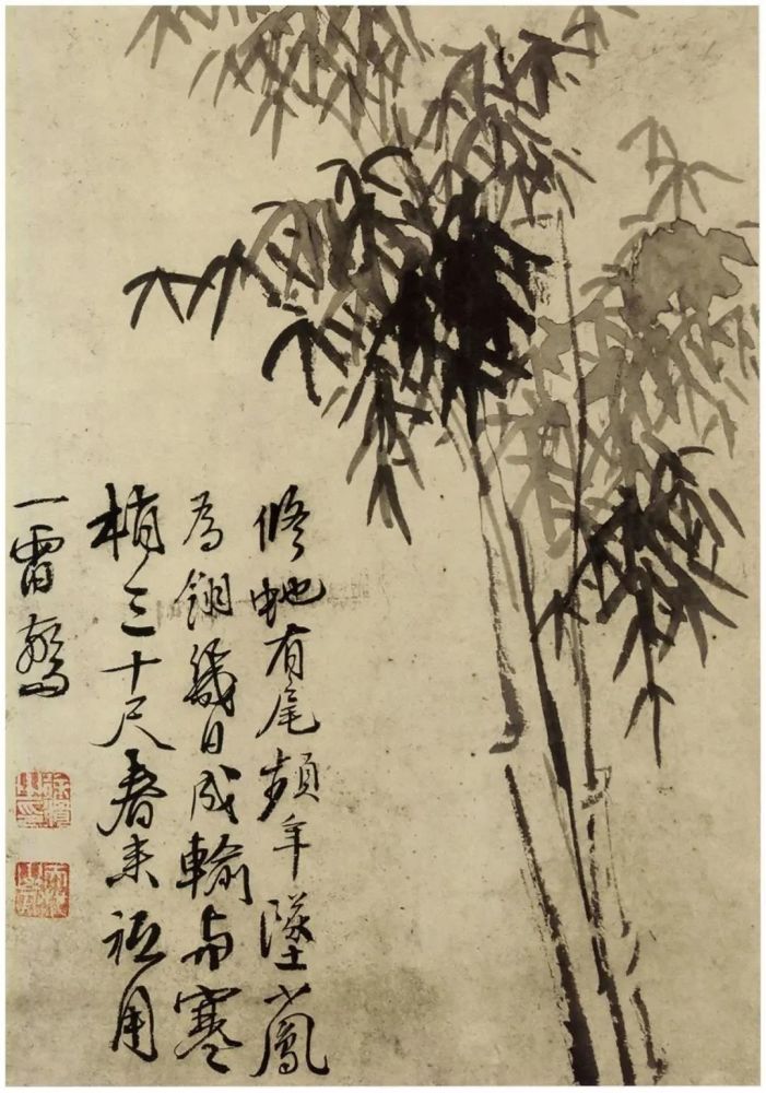别开生面徐渭的竹