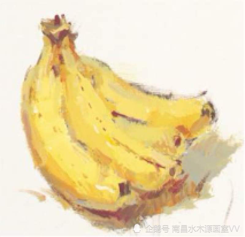 单体水果静物画法详解(素描 色彩)