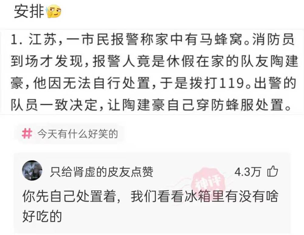 神回复:一贯多嘴的猪八戒,在真假美猴王事件中为何保持沉默