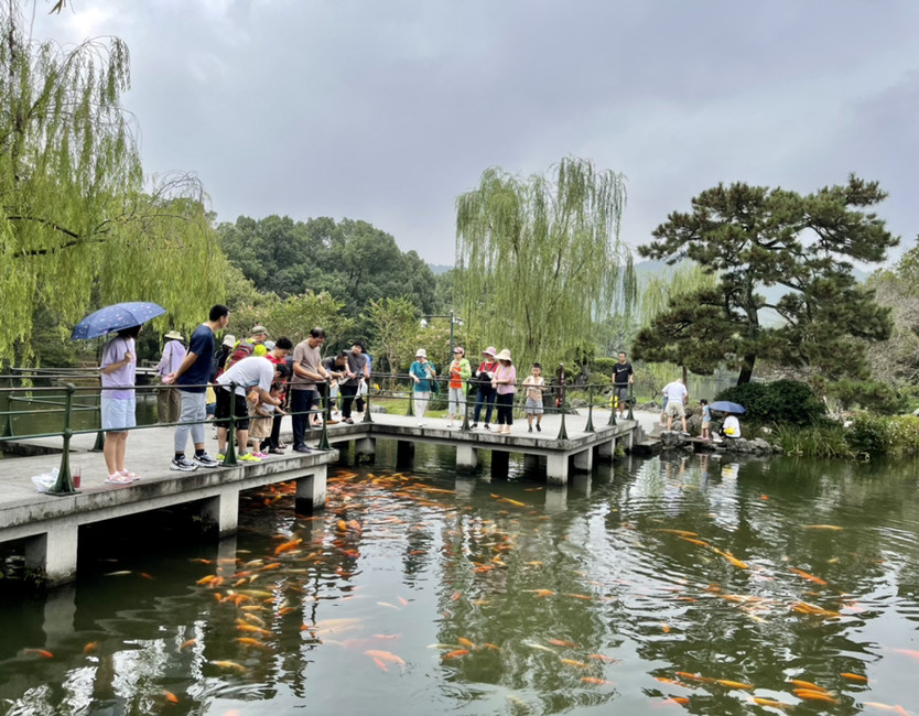 西湖花港观鱼