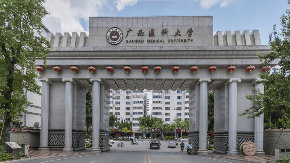 如果还会进行高校院系调整,建议广西大学与广西医科大学合并