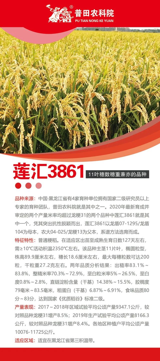 各种资质 一应俱全权威检测 国家认可普田农科院独家经营取代龙粳31的