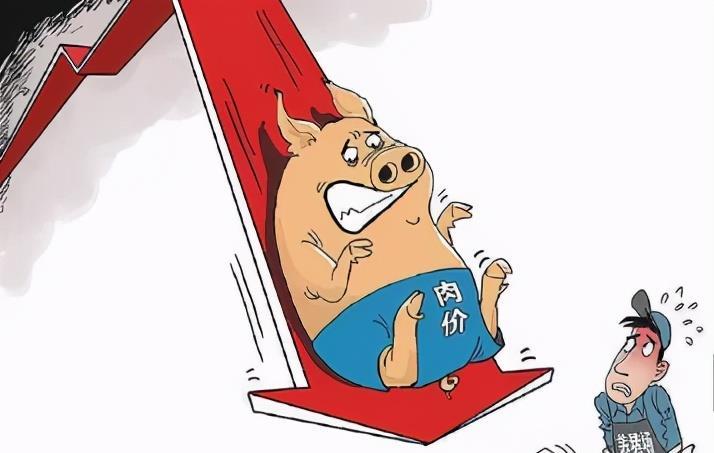 10月29日猪价肉价猪肉价格断崖暴跌会跌到10元吗