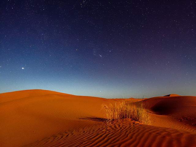 "……落日将沙漠染成鲜红的血色,凄艳恐怖……大地转化为一片诗意的