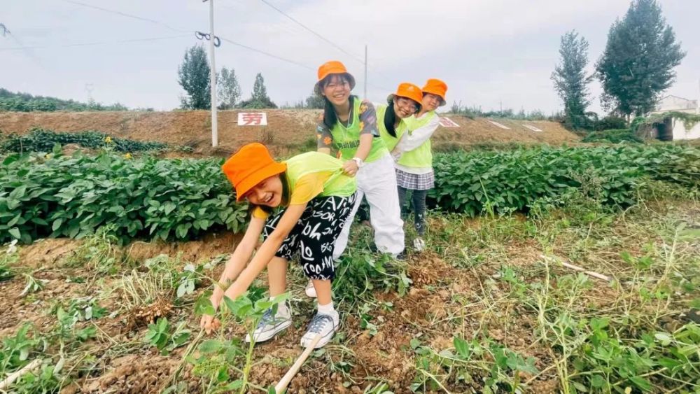 万和镇倒峡小学:因地制宜建劳动基地 弘扬劳动精神