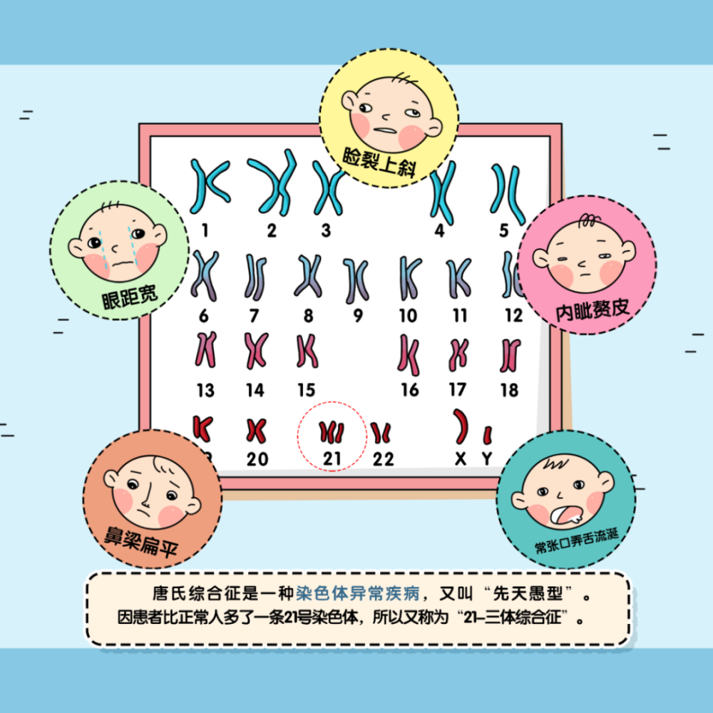 "预防出生缺陷 孕育健康宝宝 全手绘健康教育读本发布啦!