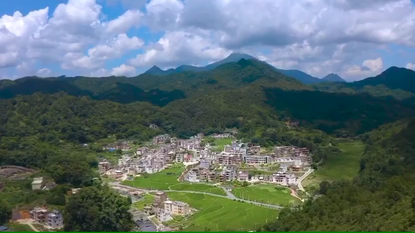 广东省梅州市丰顺县砂田镇黄花村是远近闻名的 "教授之乡",培育出以