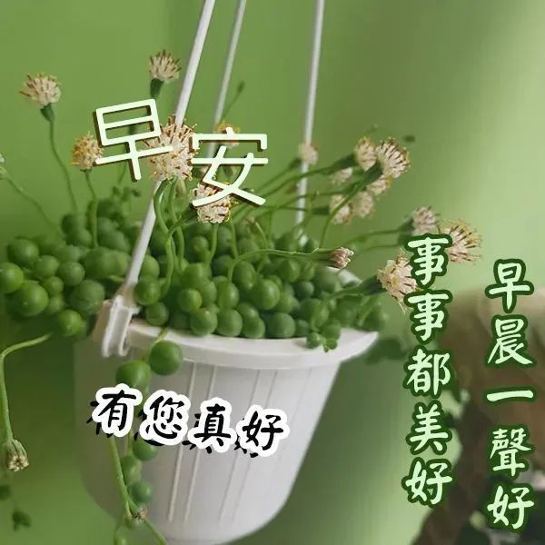 早安问候祝福语动态漂亮图片,最新温馨早安问候语图片带字