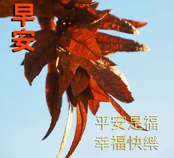 2022年1月18日早安问候祝福语图片带字温馨早安漂亮问候图片短信